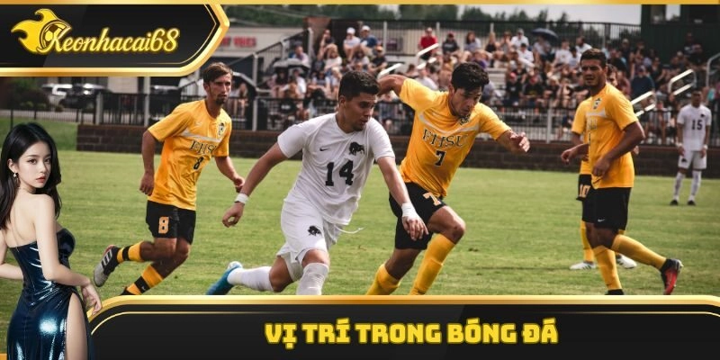 Vị trí trong bóng đá – Sơ đồ thi đấu và nhiệm vụ cụ thể